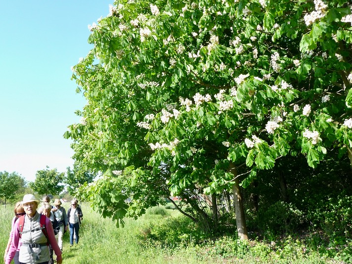 P1300477